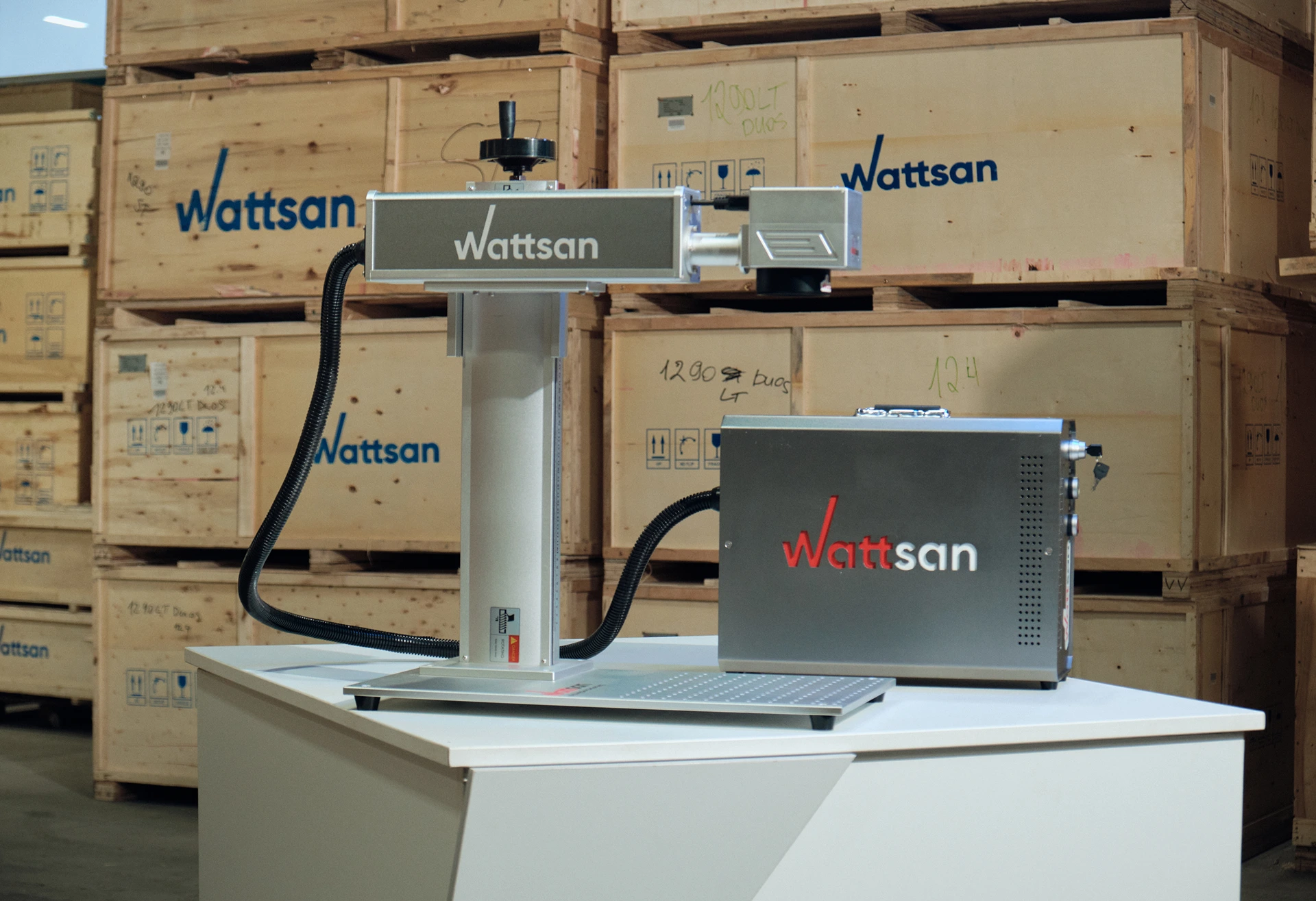 лазерный маркер Warrsan FL TT