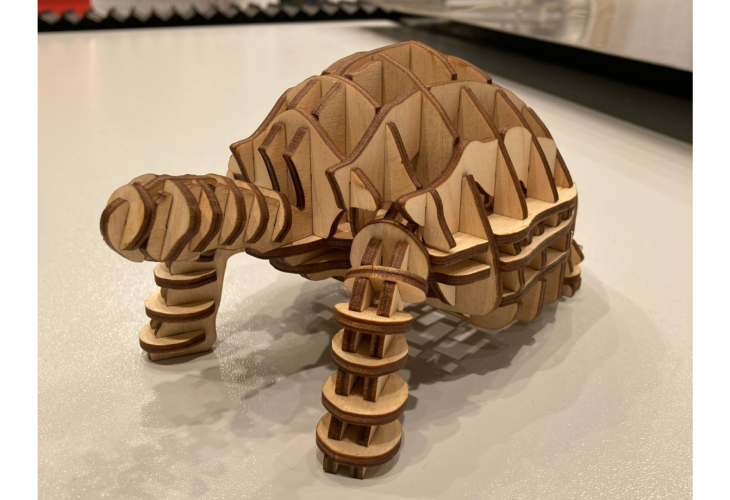 Превью 19 к Лазерный станок с ЧПУ WATTSAN 6090 LT— Подъёмный стол