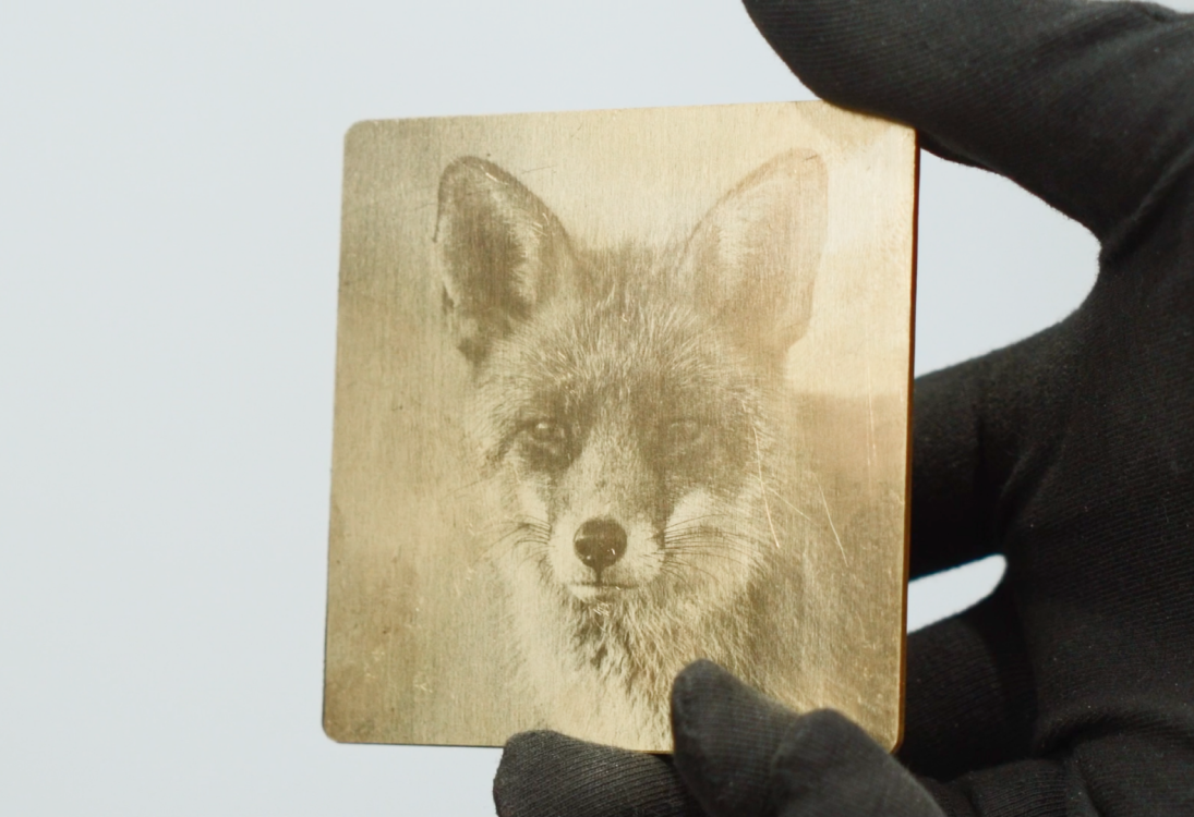 Рука в перчатке держит металлический квадрат с детальным гравированным портретом лисы