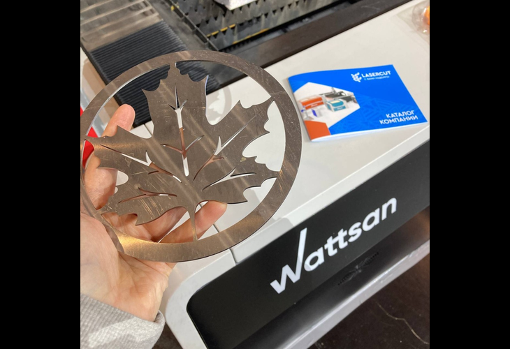 Превью 8 к Лазерный станок по металлу WATTSAN 1530S TABLECHANGE CABINE